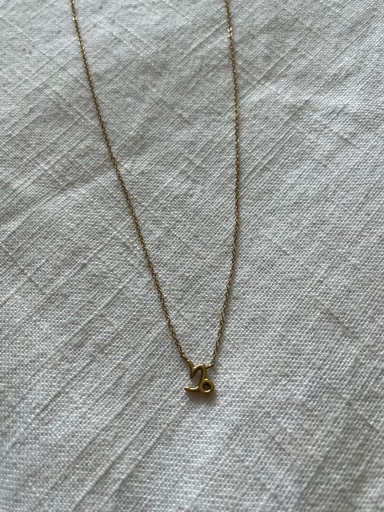 Hey Harper Jewelry - Hey Harper Waterproof Gold Capricorn Zodiac Necklace